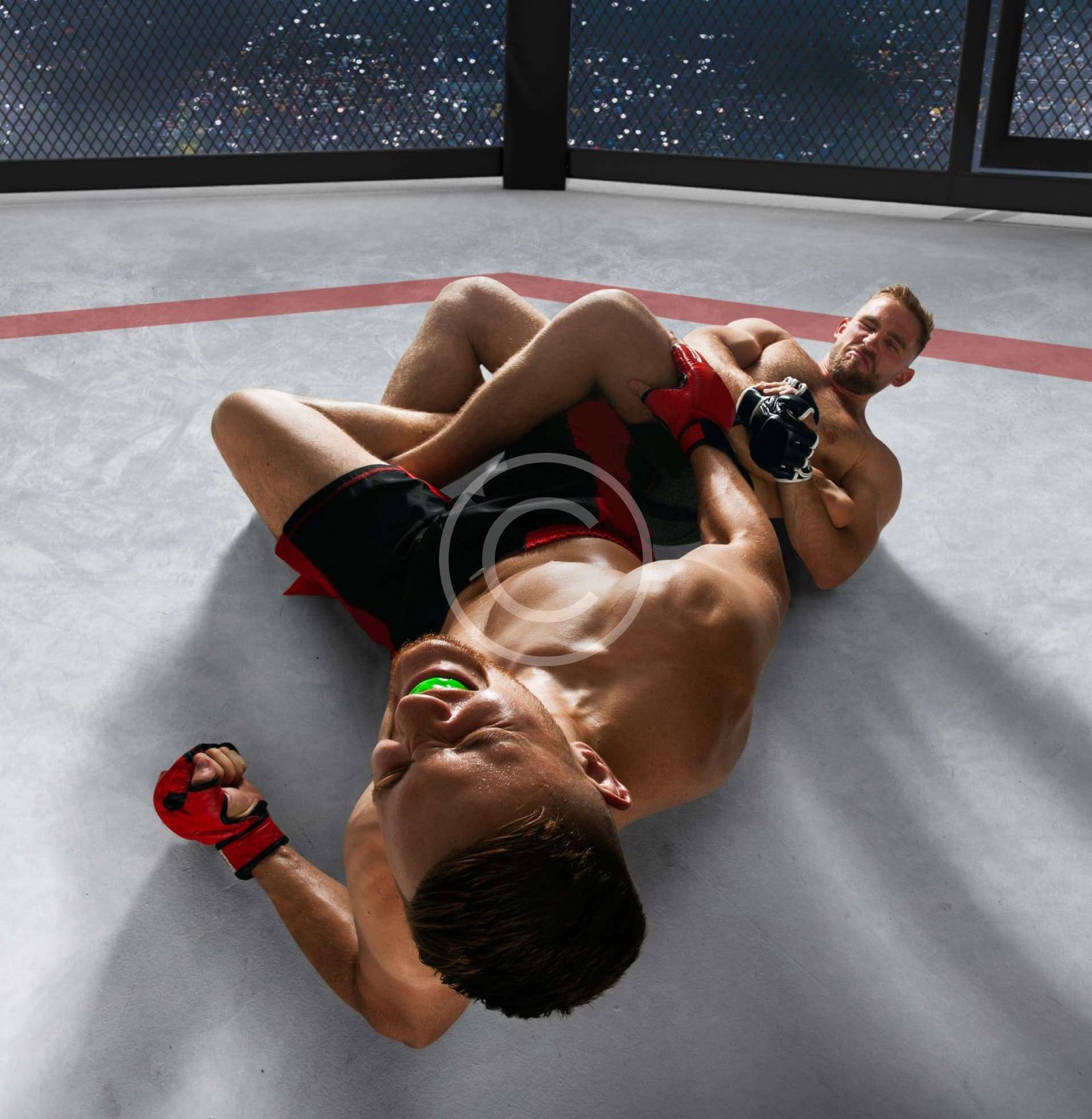 Division In Boxing The toughest weight divisions in MMA – Flow State Boxing